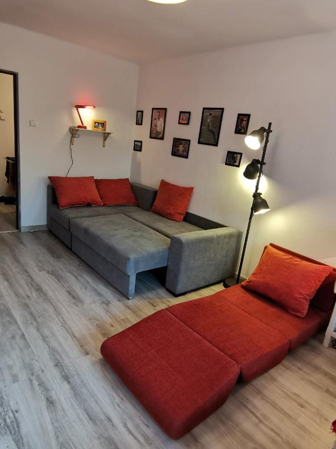 Cosy 2 Rooms Apartment With A View Near The Forest 普雷代亚尔 外观 照片